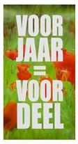 Raambiljet Voorjaar= Voordeel