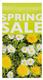 Raambiljet Spring Sale